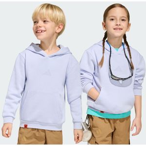 adidas Minecraft Terrex Hoodie