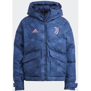 Juventus Lifestyler Donsjack