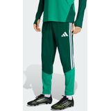 Algeria 26 Trainingsbroek