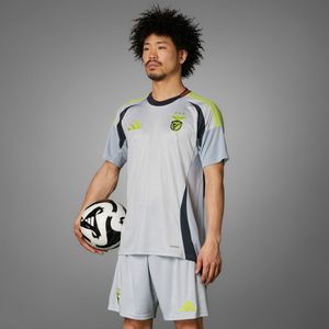 Benfica 24/25 Derde Shirt