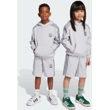 Adidas - Orginals X Minecraft - Trainingspakken - Grijs