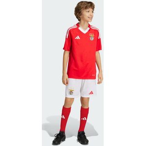 Benfica Lisbonne - 2024/25 - Korte Broek - Voor Kinderen