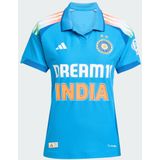 ADIDAS PERFORMANCE - Tricot 'Indien Cricket One Day' - Lichtblauw - Kwartmouw