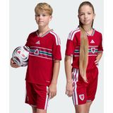 Wales 26 Thuisshirt Kids