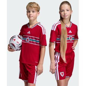 Wales 26 Thuisshirt Kids