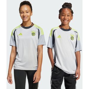Benfica 24/25 Third Jersey Kids