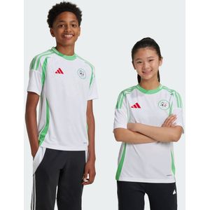 adidas - Thuis Shirt - Algérie 2025 - Kinderen - Groen Wit Rood