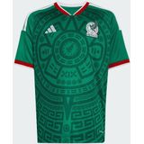 Mexico 26 Thuisshirt Kids