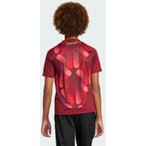 adidas - Buiten Shirt - Geel - Euro 2025 - Voor Kinderen