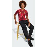 adidas - Buiten Shirt - Geel - Euro 2025 - Voor Kinderen