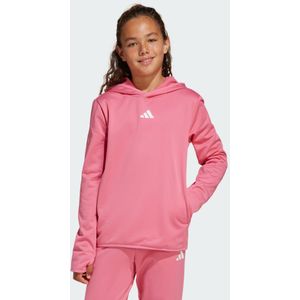 Game and Go Hoodie Kids