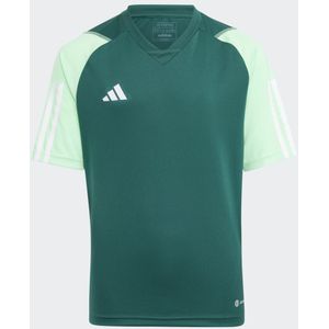 Tiro 23 Competition Voetbalshirt