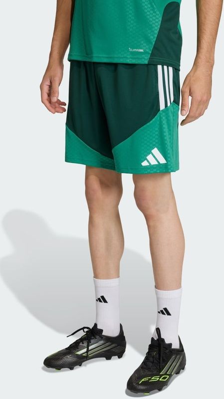 Algerije 26 Trainingsshort