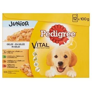 PEDIGREE MULTIPACK MAALTIJDZAKJES JUNIOR IN GELEI 100 GR