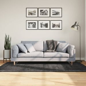 vidaXL-Vloerkleed-shaggy-hoogpolig-modern-100x200-cm-antraciet