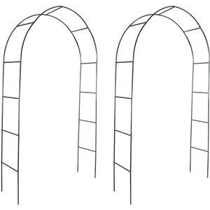 VidaXL Tuinbogen - Set van 2 voor prachtige tuindecoratie