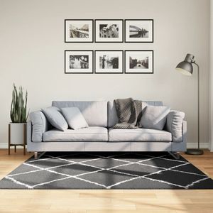 vidaXL-Vloerkleed-shaggy-hoogpolig-modern-160x160-cm-zwart-en-crème