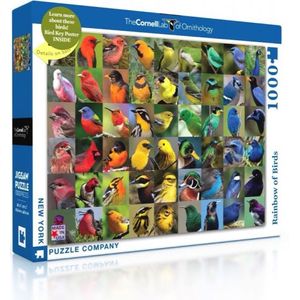 New York Puzzle Company Regenboog van Vogels - 1000 stukjes