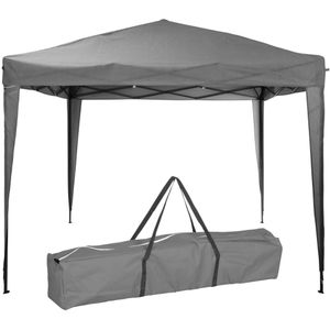 ProGarden Partytent Easy-Up 300x300x245 cm grijs