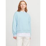 Sweatshirt - Licht Geborsteld - Ronde Hals - Lange Mouwen - Volume Fit - 70% Katoen