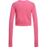 Gebreid Vest - Effen - Sabel - V-hals - Lange Mouw - Normale Pasvorm