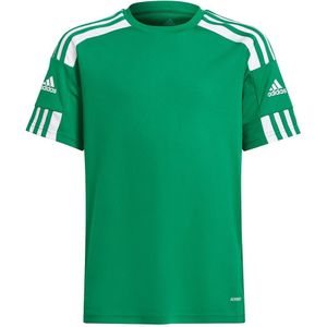 adidas - Squadra Jersey Youth - Voetbalshirt groen - 164 - Groen