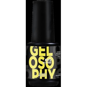 Astonishing Gelosophy #072 10-Speed - 15ml