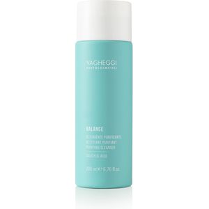 Vagheggi Balance Purifying Cleanser - 200 ml
