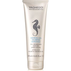 Vagheggi After Sun Shampoo Shower Gel 250 Ml