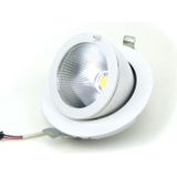 Banaanspot / Schijnwerper LED 25W, Wit, Rond, Kantelbaar, Incl. driver