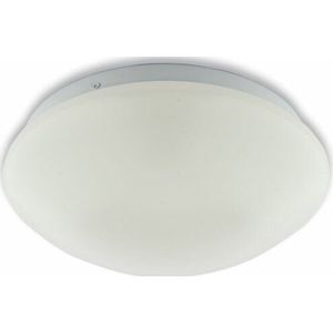 LED Plafondlamp 8W, Warm Wit, Rond 23cm