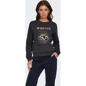 Jdy - Jdyparis Emb Sweat Jrs - Dames - Sweaters
