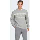 Onsruny - Gebreide Pullover - O-hals - Lange Mouwen - Jacquard - Relaxed Fit