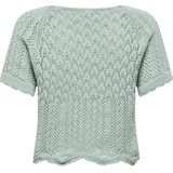 Onlnola - Gebreide Pullover - O-hals - Korte Mouwen - Regular Fit