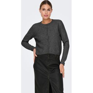 JDY - Jdychloe - Vest - Gebreid - Lange Mouwen - O-hals