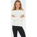 T-shirt - O-hals - Lange Mouwen - Katoen - Regular Fit