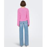 Onlgloria - Gebreide Pullover - Regular Fit - O-hals - Lange Mouwen