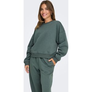 Onlbest - Sweatshirt - Regular Fit - Lange Mouwen