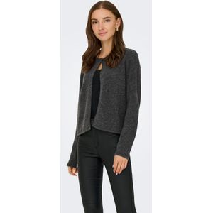 JDY - Jdyrue - Vest - O-hals - Lange Mouwen - Knit Fit