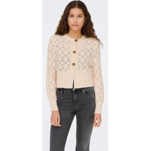 JDY - Jdyamanda - Vest - O-hals - Lange Mouwen - Knoopsluiting