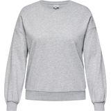 ONLY CARMAKOMA - Sweatshirt - O-hals - Lange Mouwen - Regular Fit