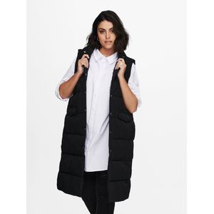 Carstacy Gequilt Gilet