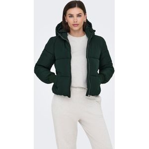 Jdynewerica Puffer Jacket