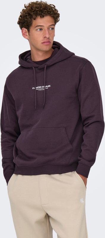 Onscurated - Sweatshirt - Hoodie - Lange Mouwen - Regular Fit