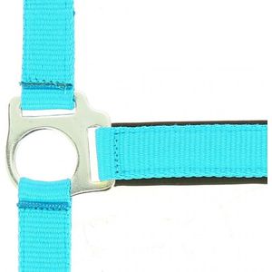 Halfter Norton Fluo