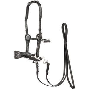 Zaumzeug Reiten Edix Saddles ED4- Jazz