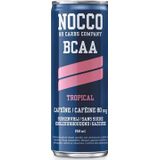 Nocco frisdrank Tropical, blikje van 250 ml , pak van 12 stuks