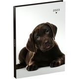 Agenda 2023 110x150 My Favourite Friends 7dagen/2pagina's PUPPIE