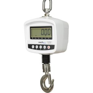 DR-30 Access 30kg/10g LT Crane Scale