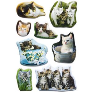HERMA 6196 Stickers dierenfoto\'s katten, Lackpuffy [10x]
